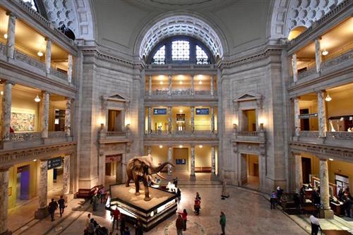 National Museum of Natural History National Museum of Natural History